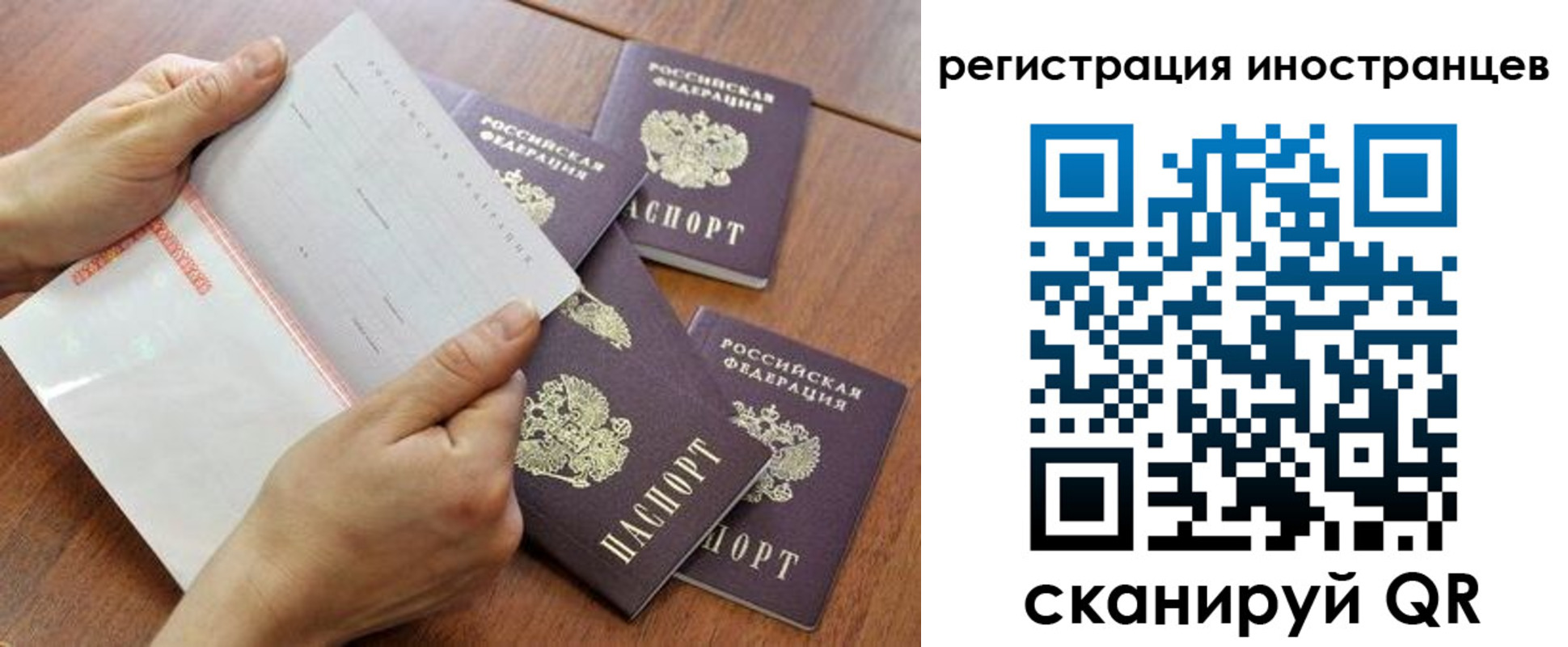 прописка поиск в Кольчугино